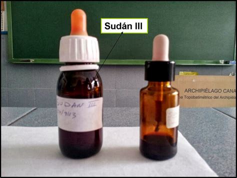 Sudan III .